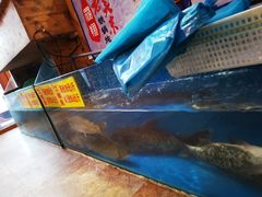 -老关东铁锅炖(哈西店)