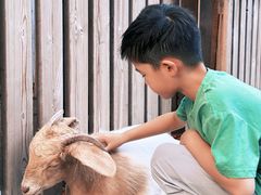 -廊坊固安福朋喜来登酒店