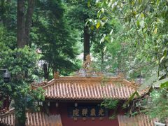 -凤栖山