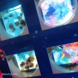 点击看大图 -七巧国萌宠乐园(龙湖天街店)