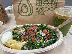-油梨树AVOCADO TREE(嘉里中心店)