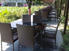 -洪湖家庭农场·团建·露营·会议