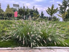 -济南国际园博园