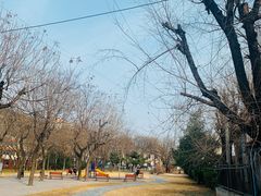 -玲珑塔公园