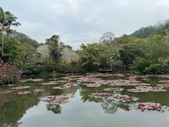 -野象谷景区