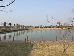 -明珠湖天鹅苑·农家菜馆