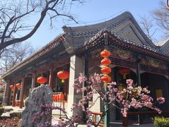 -白家大院·王府宫廷菜(苏州街店)