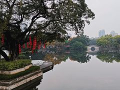 -荔湾湖公园