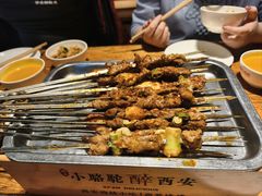 -福苗小骆驼烧烤(莲湖路店)