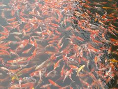 -长春市南湖公园