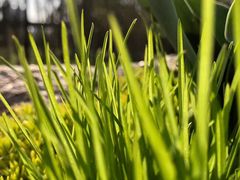 -昆山城市生态森林公园