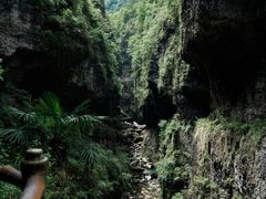 -鹿院坪生态旅游景区