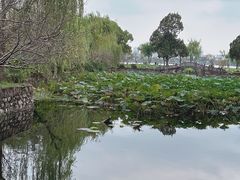 -无锡蠡湖国家湿地公园-蠡园