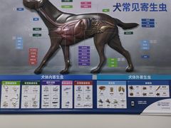 -中农国际动物医院24小时·猫科·骨科·急重症中心