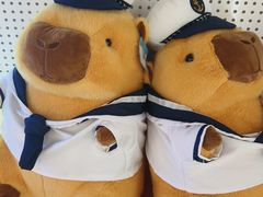 -可爱抓 COCO  GOTCHA(天津鹏欣水游城店)