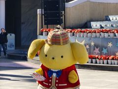 -安吉Hello Kitty乐园