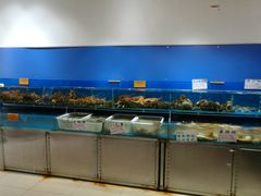 -神洲四海大酒楼(王府井澳门中心店)