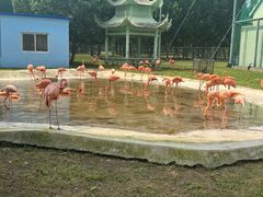-秦皇岛野生动物园