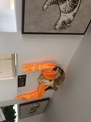 点击看大图 -青禾造型&刺青