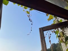 -马灯部落·西湖边的创意山景餐厅(虎跑动物园店)