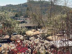 -桃源山庄·水蜜桃采摘·柴火鸡·烧烤团建(龙泉山店)