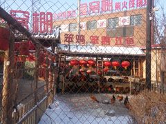 -鱼窝棚柴火铁锅炖(富山屯店)