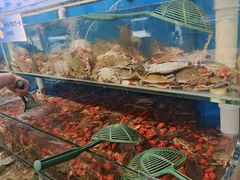 -仙螺岛海鲜自助餐厅(总店)