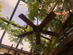 -The Grounds of Alexandria