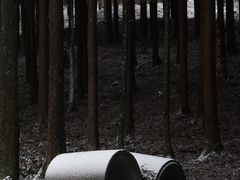 -山王坪喀斯特国家生态公园
