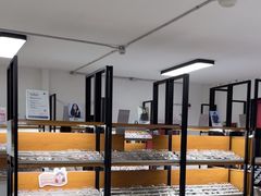 -五派眼镜(沙河店)
