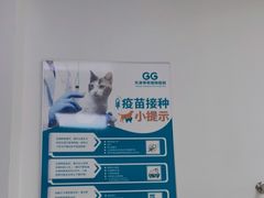-乖乖宠物医院·猫科·急重症中心(车站北路分院)