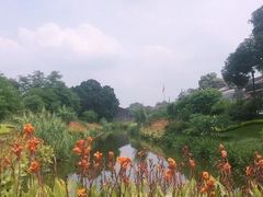 -大旗头古村