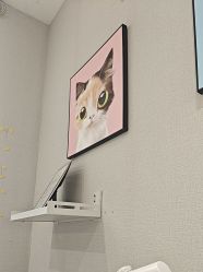 -洗脸猫·洗脸吧