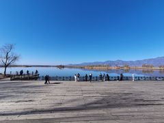 -野鸭湖国家湿地公园