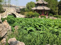 -莲池书院博物馆