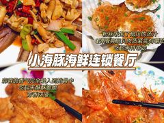 -亚龙湾热带天堂森林公园