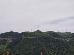 -东白山