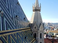 -斯蒂芬主教座堂(Stephansdom)