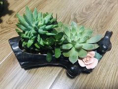 -绿韵花艺鲜花店(解放南路店)