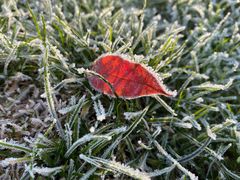 -萍乡武功山风景名胜区