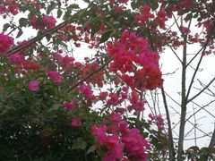 -优游吧斯邹族文化部落