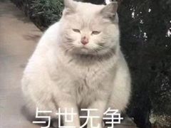 -Peet's Coffee皮爷咖啡(德基店)