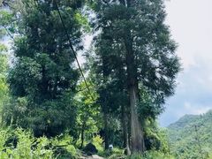 -黄公望隐居地