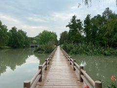 -九科绿洲