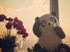 -339旋转餐厅(天府熊猫塔店)