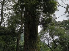 -青城山