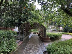 -瑞丽独树成林风景区