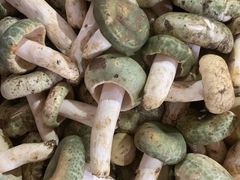 -野菌园·野生菌火锅首创第一家(关兴路总店)
