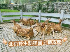 -北京野生动物园