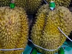 -北国超市(益元店)